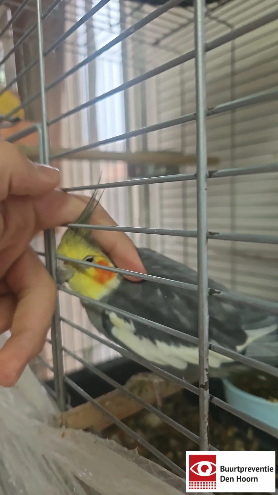 Weggevlogen